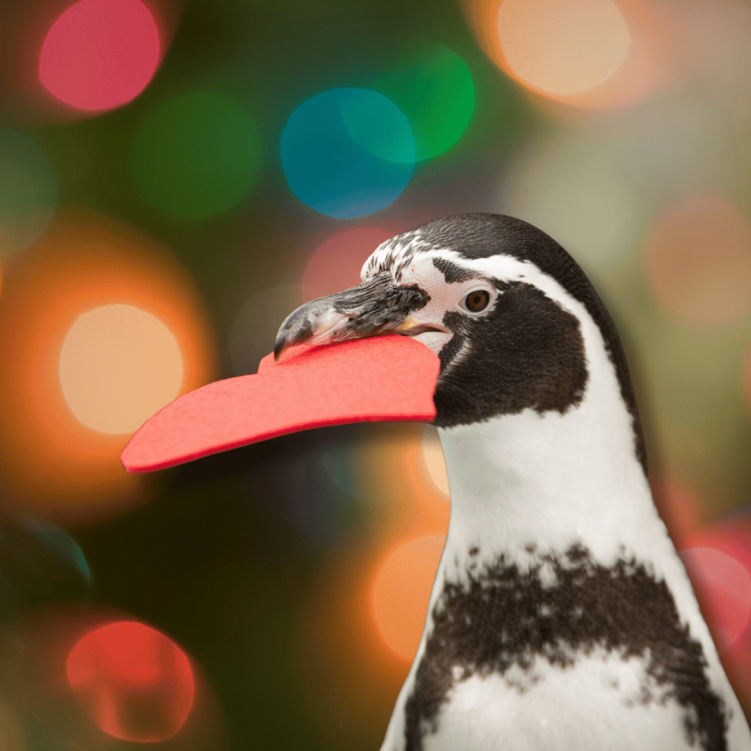 penguin holding felt heart in beak