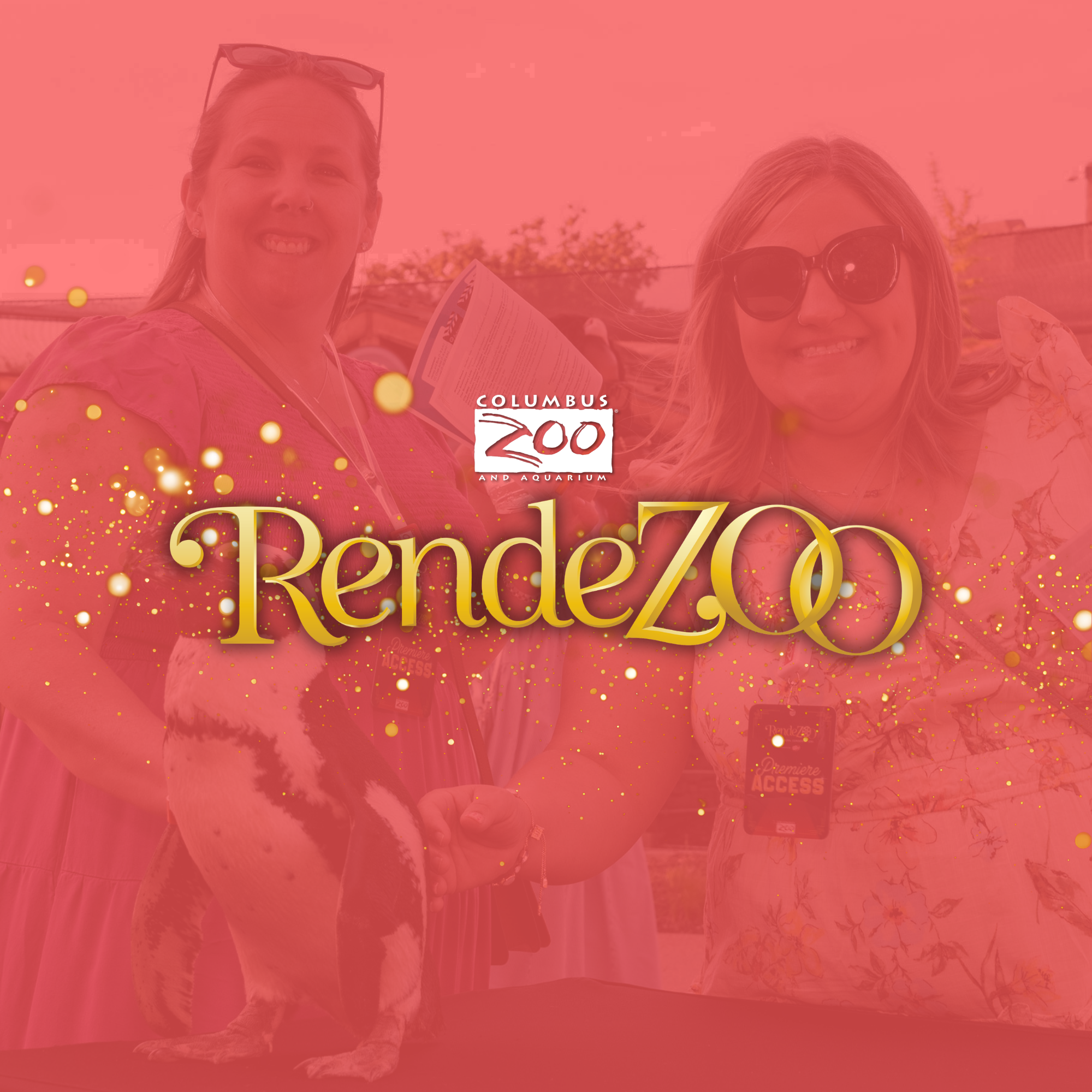 Rendezoo graphic