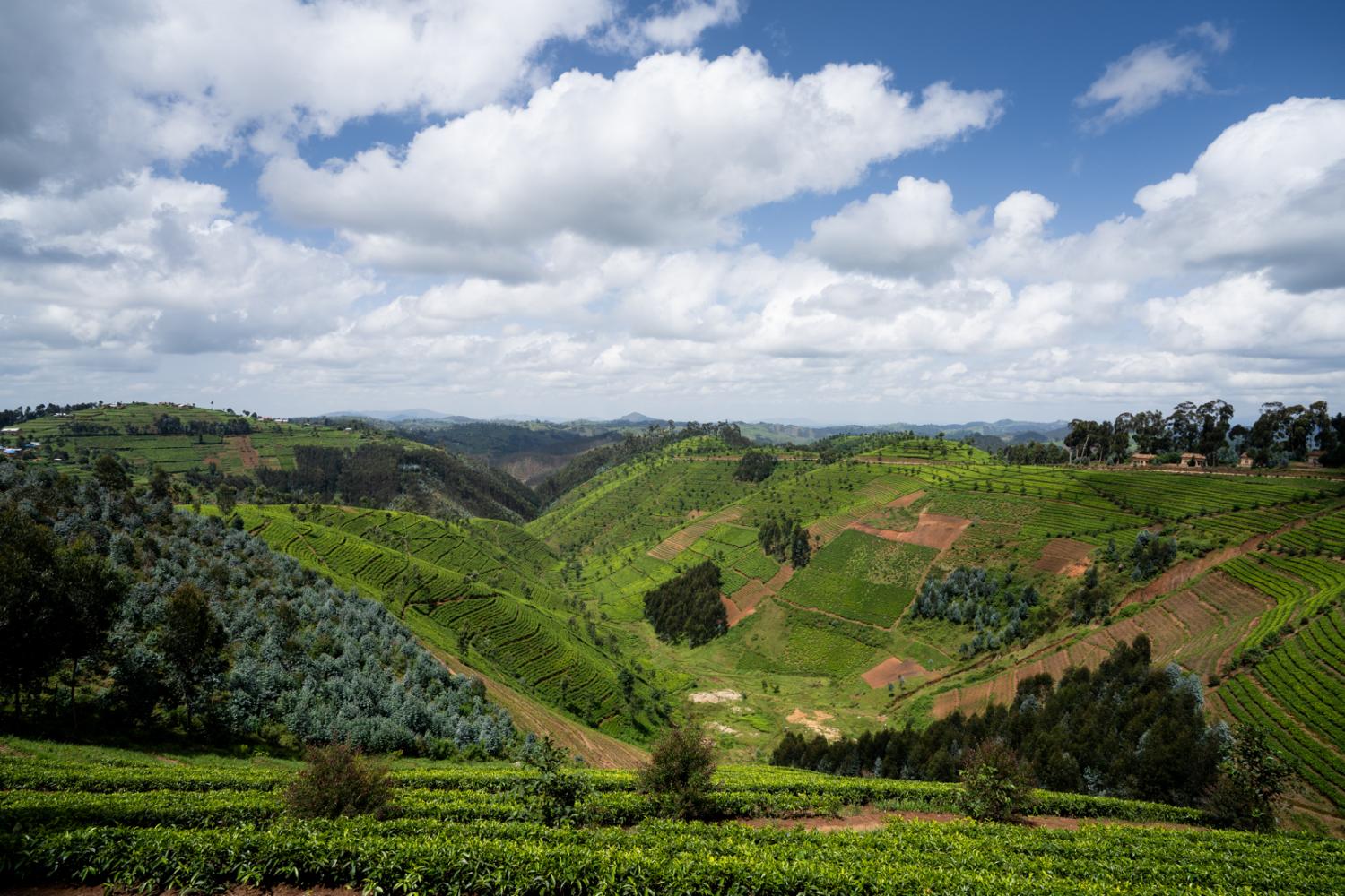 vistas in Rwanda