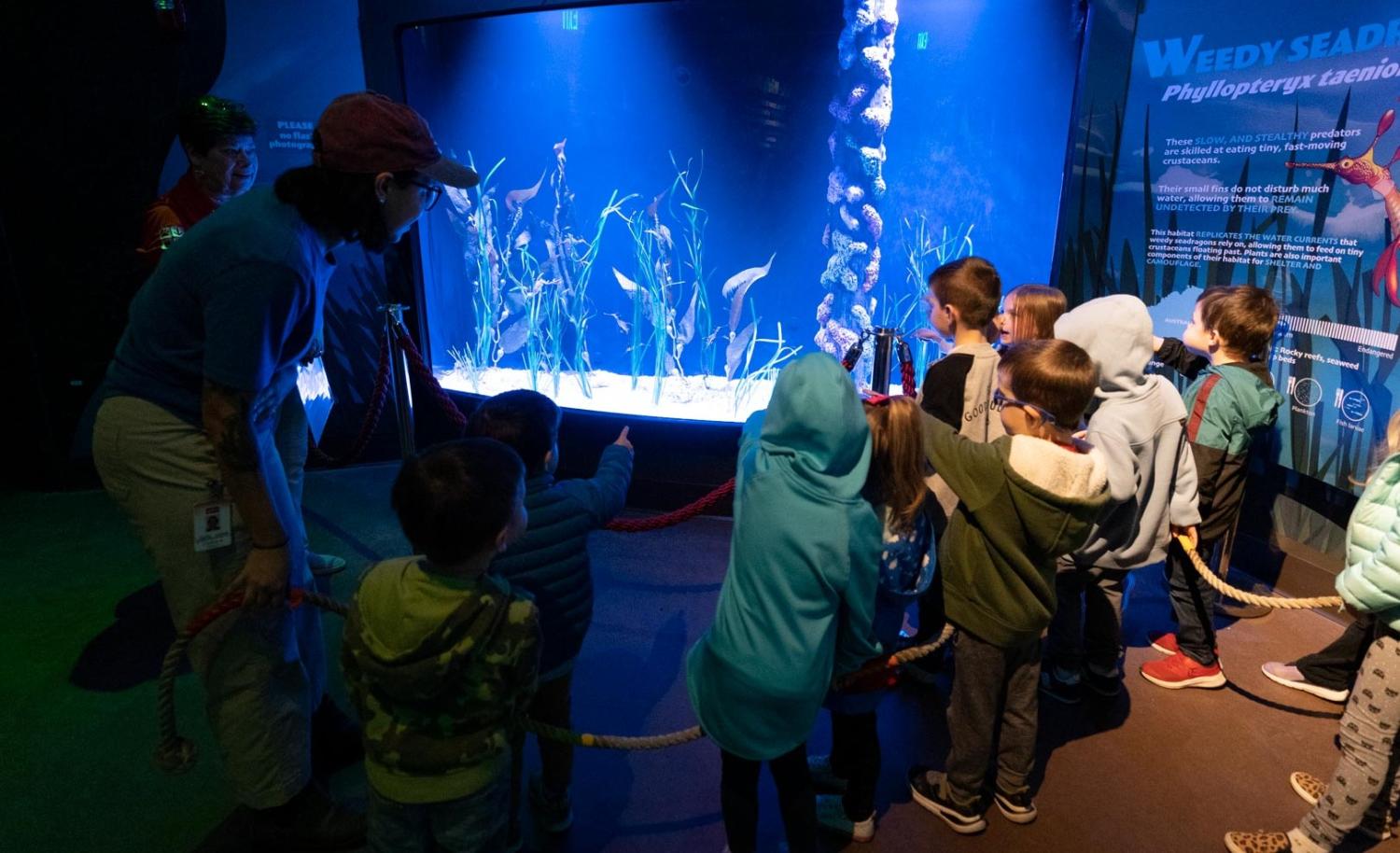 children at aquarium