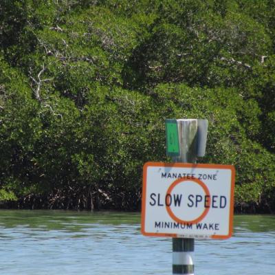 Manatee Zone Slow Speed sign (Photo Credit: FWC)