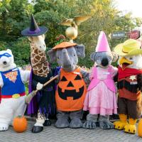 Zoo characters in halloween costumes