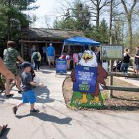 Guests meet with Ohio Wildlife Center to learn about local wildlife at Zoo's Earth Day event