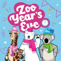Zoo Year's Eve graphic