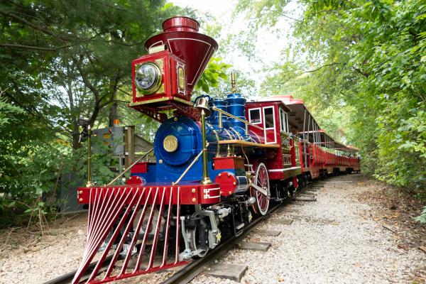 electric train engine and cars on tracks
