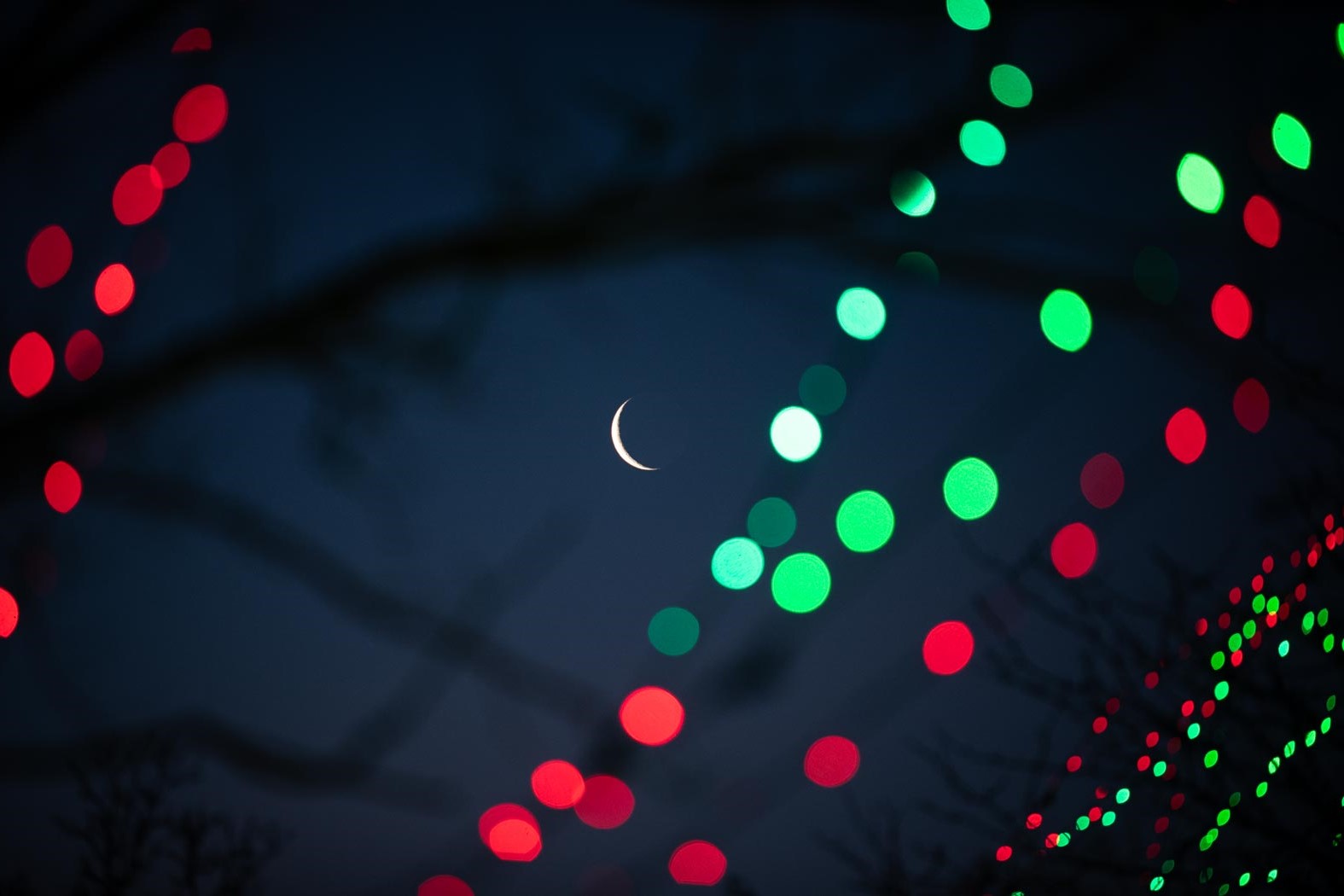 string lights against night sky