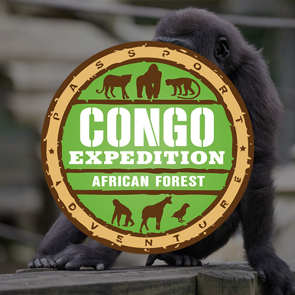 Congo Expedition