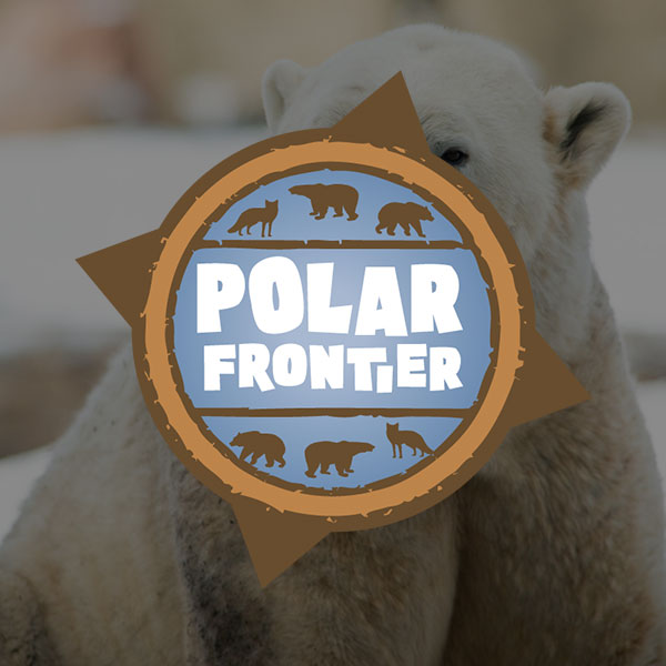 Polar Frontier