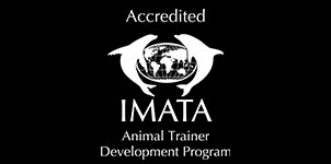 IMATA logo