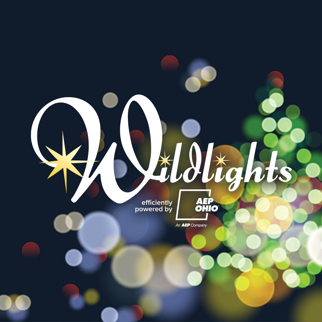 wildlights graphic