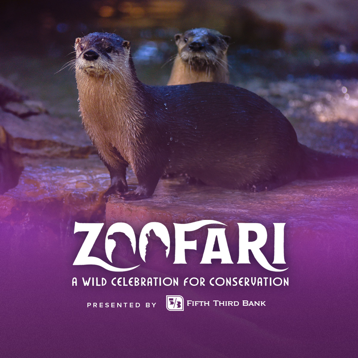 Zoofari Columbus Zoo and Aquarium