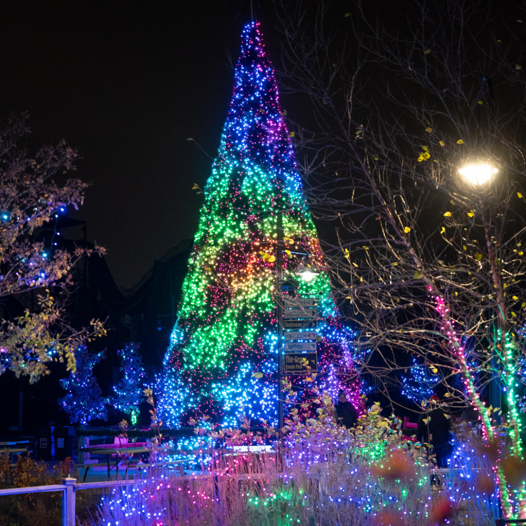 holiday tree with multi-color lights