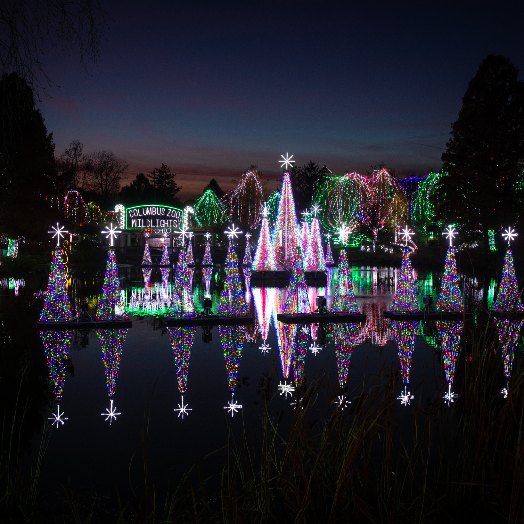 view of lake with holiday lights surrounding it