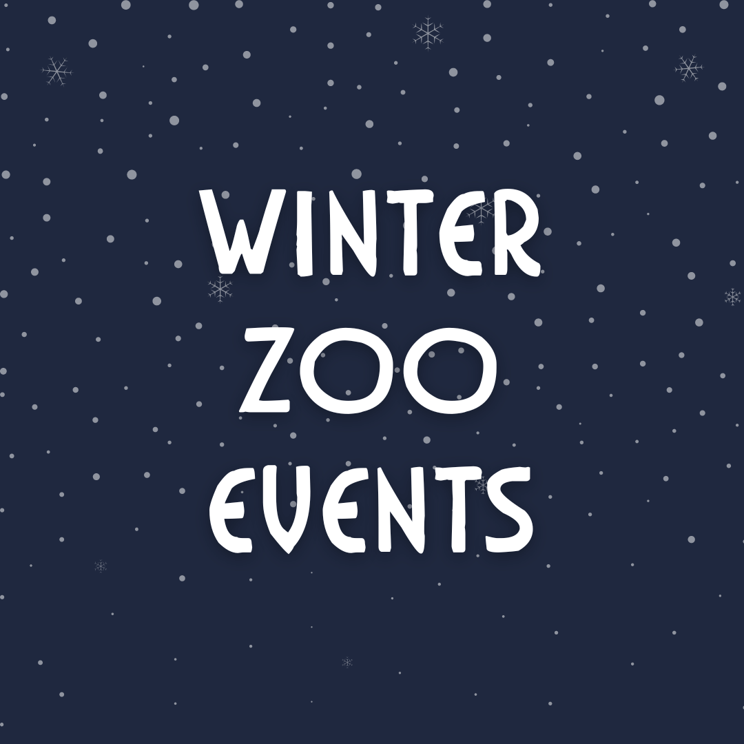 zoo events graphic