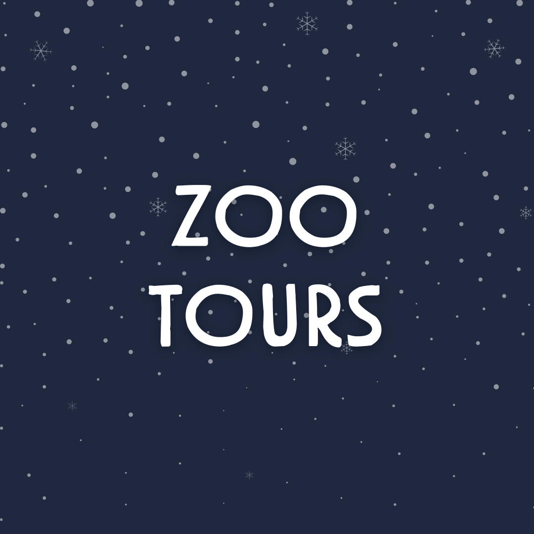 zoo tour graphic