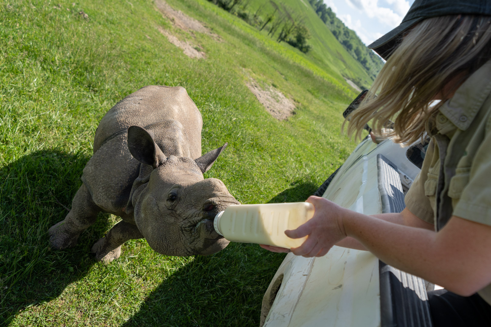 bottle fed rhino