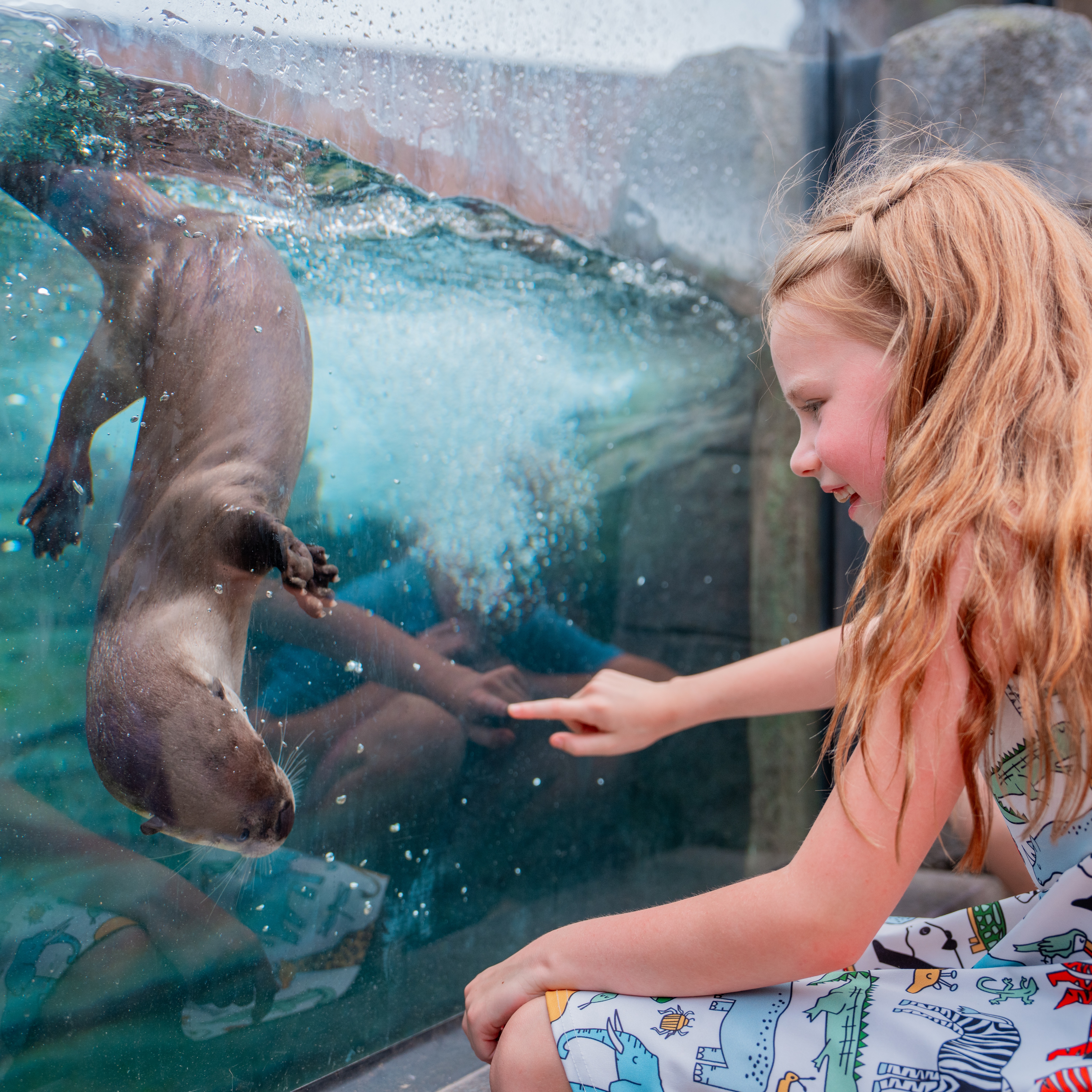 child interacting with otter at zoo