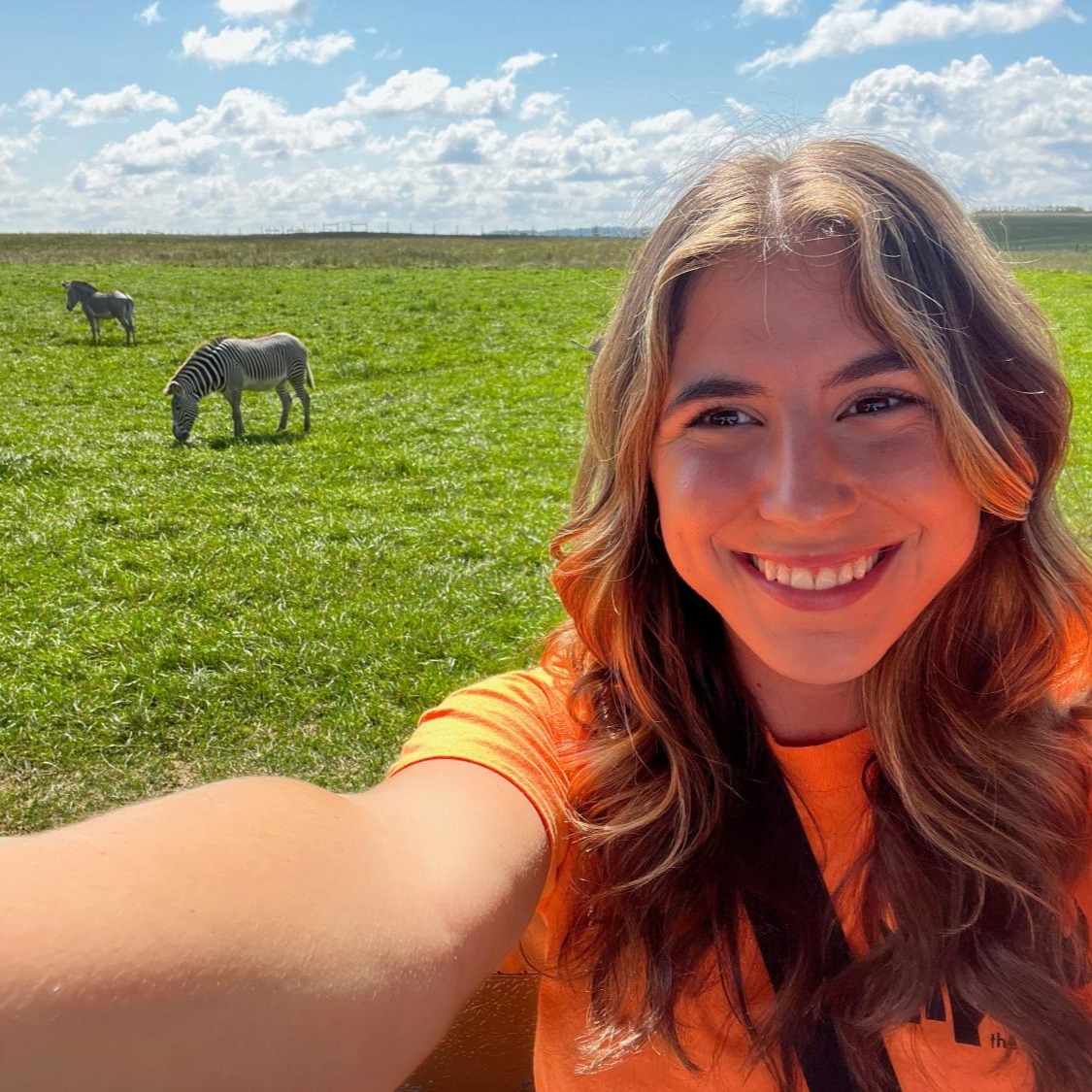 college student in zebra pasture