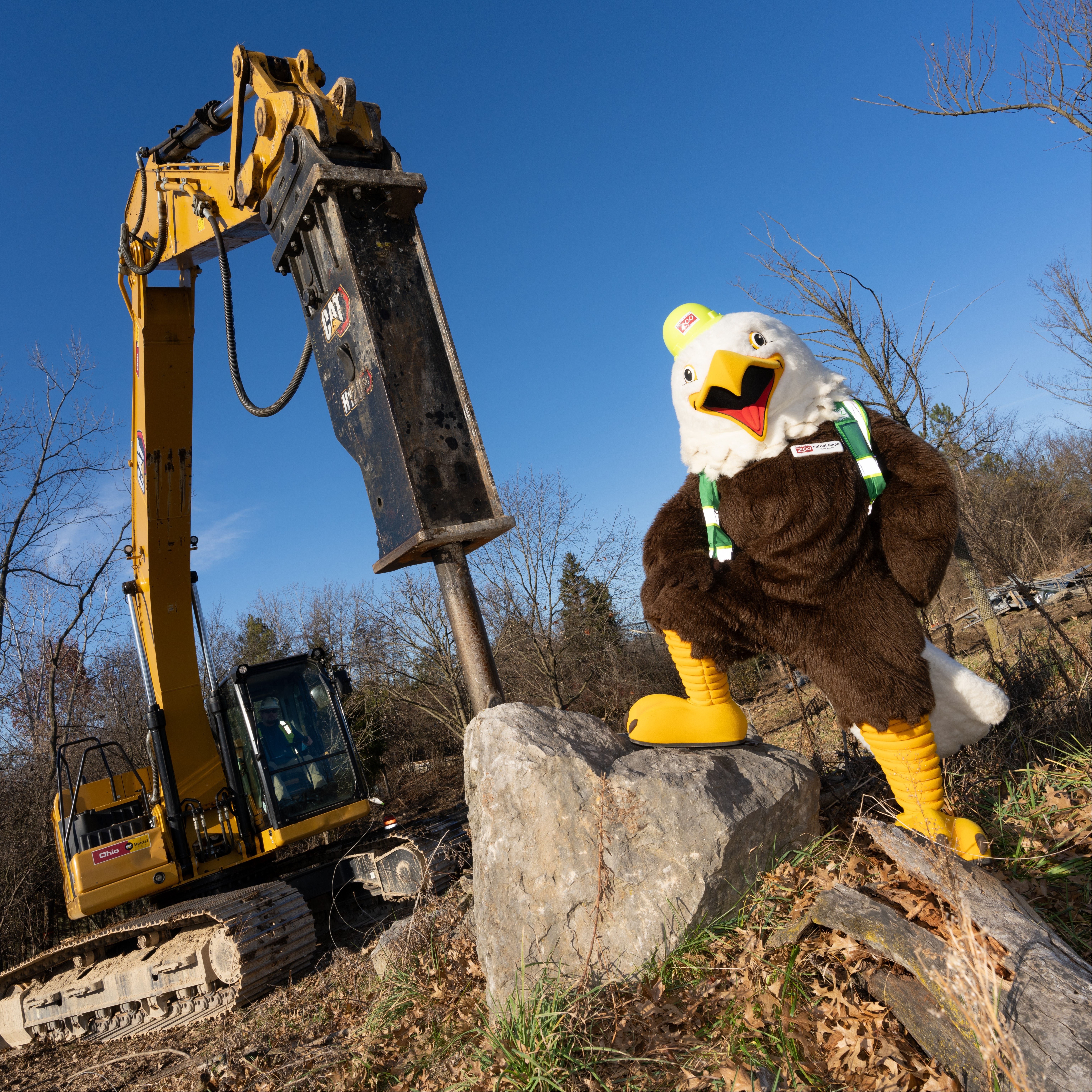 eagle mascot and construction equipment