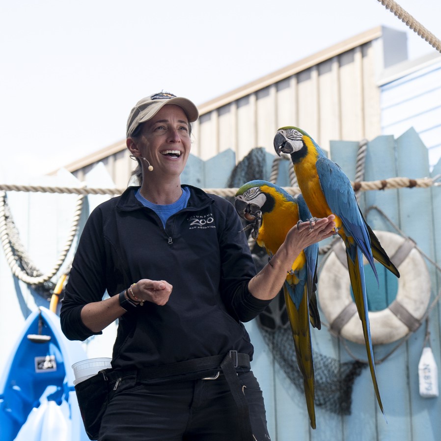 zoo staff with parrot