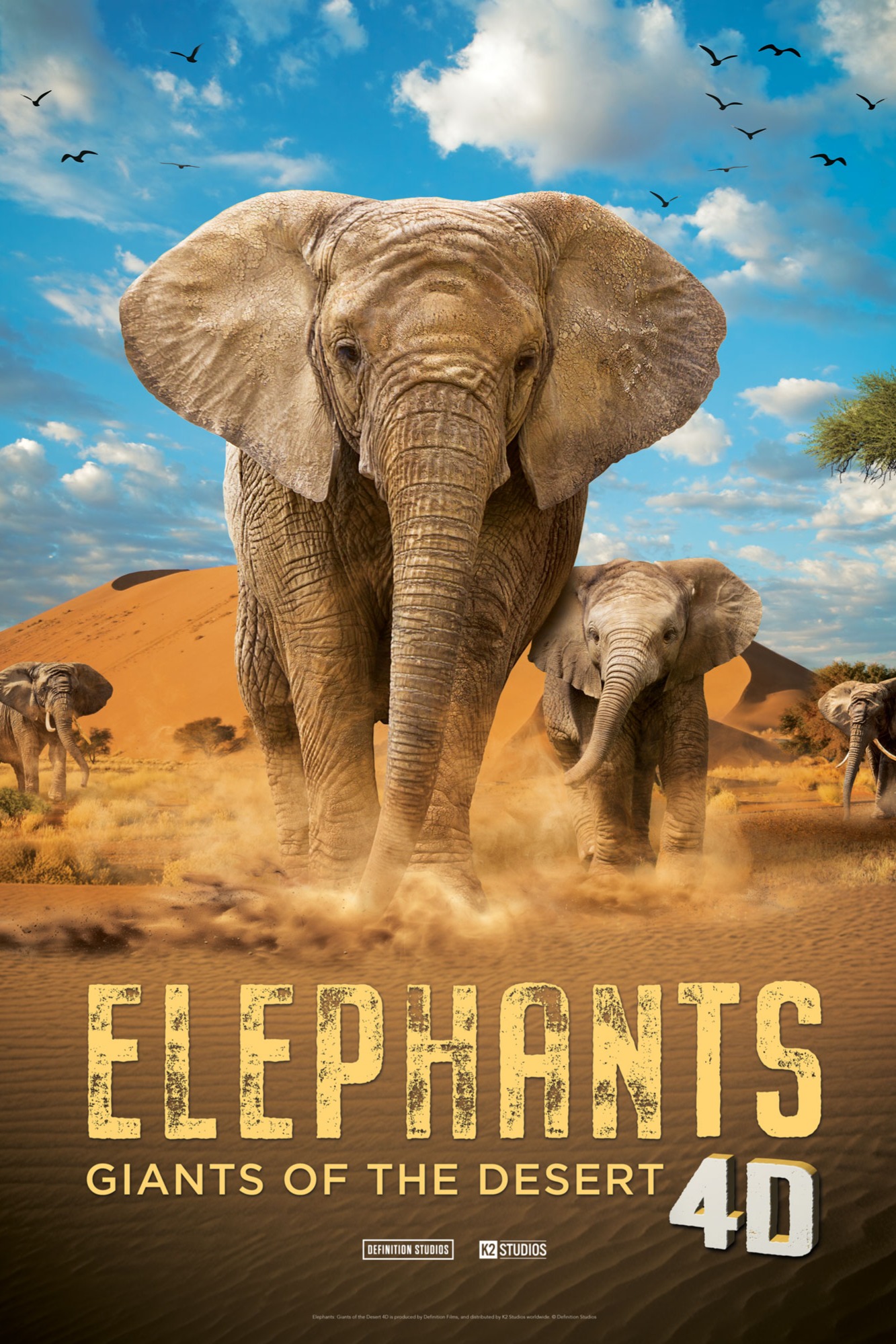 Elephants 4D poster