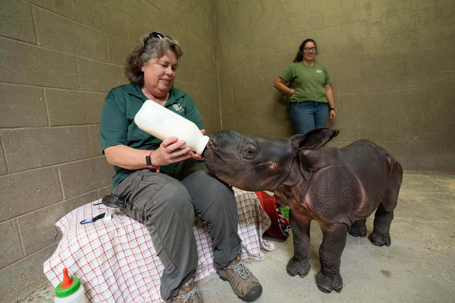 woman feeding rhino baby