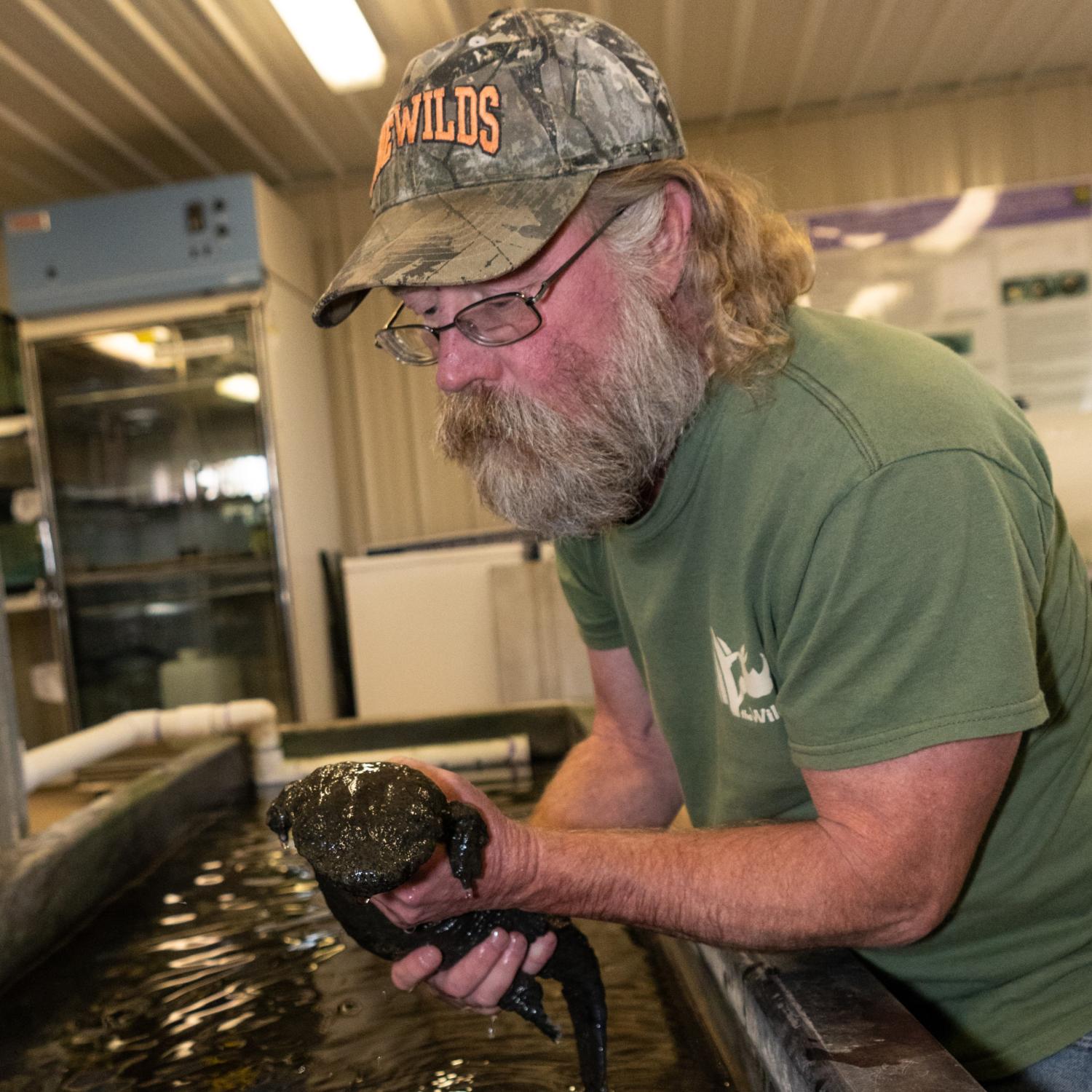 Ohio Hellbender Partnership | Columbus Zoo and Aquarium