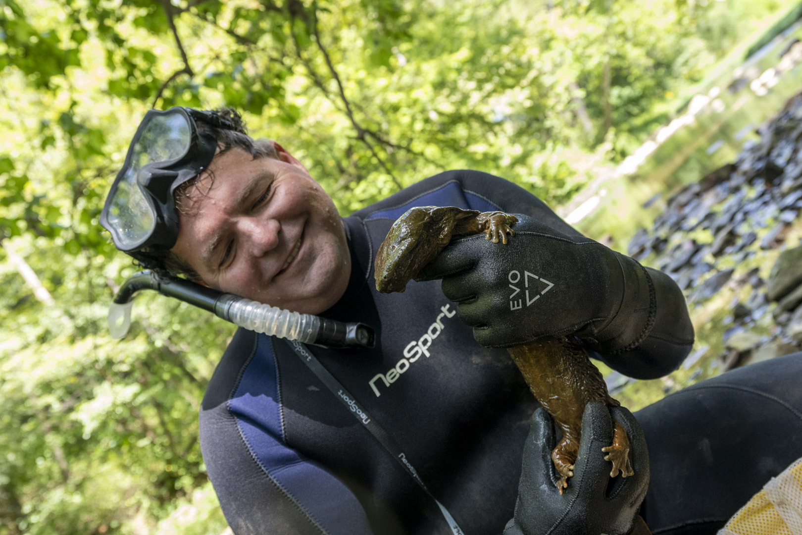 scientist holding hellbender