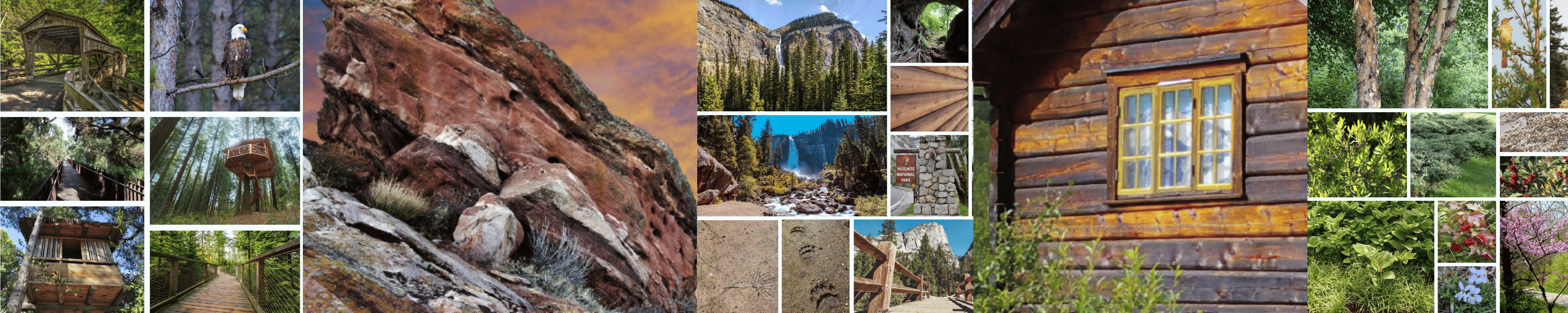 collage of national park images