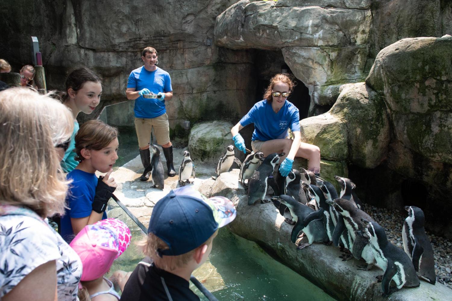 Keeper Talks | Columbus Zoo and Aquarium