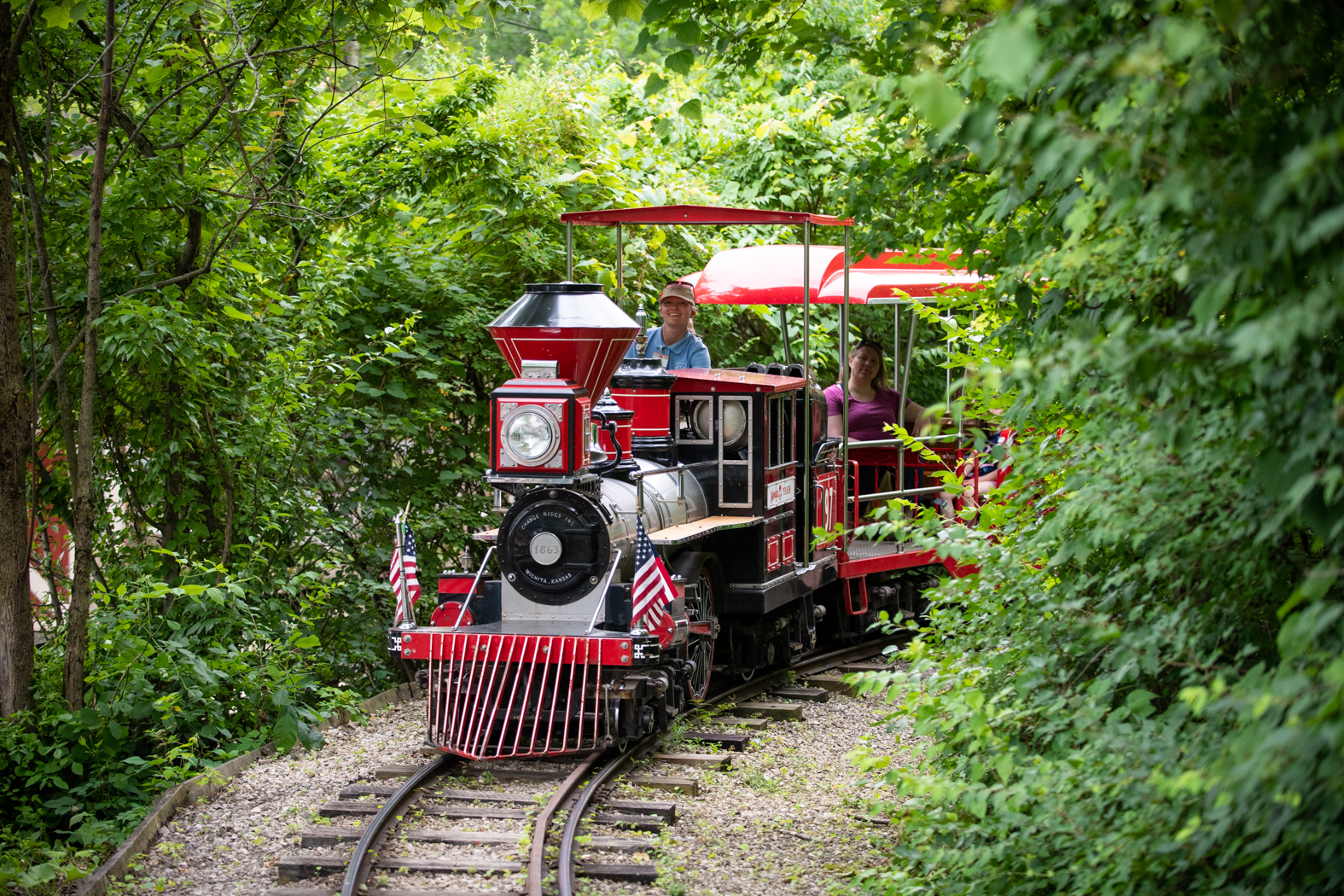 train in woods