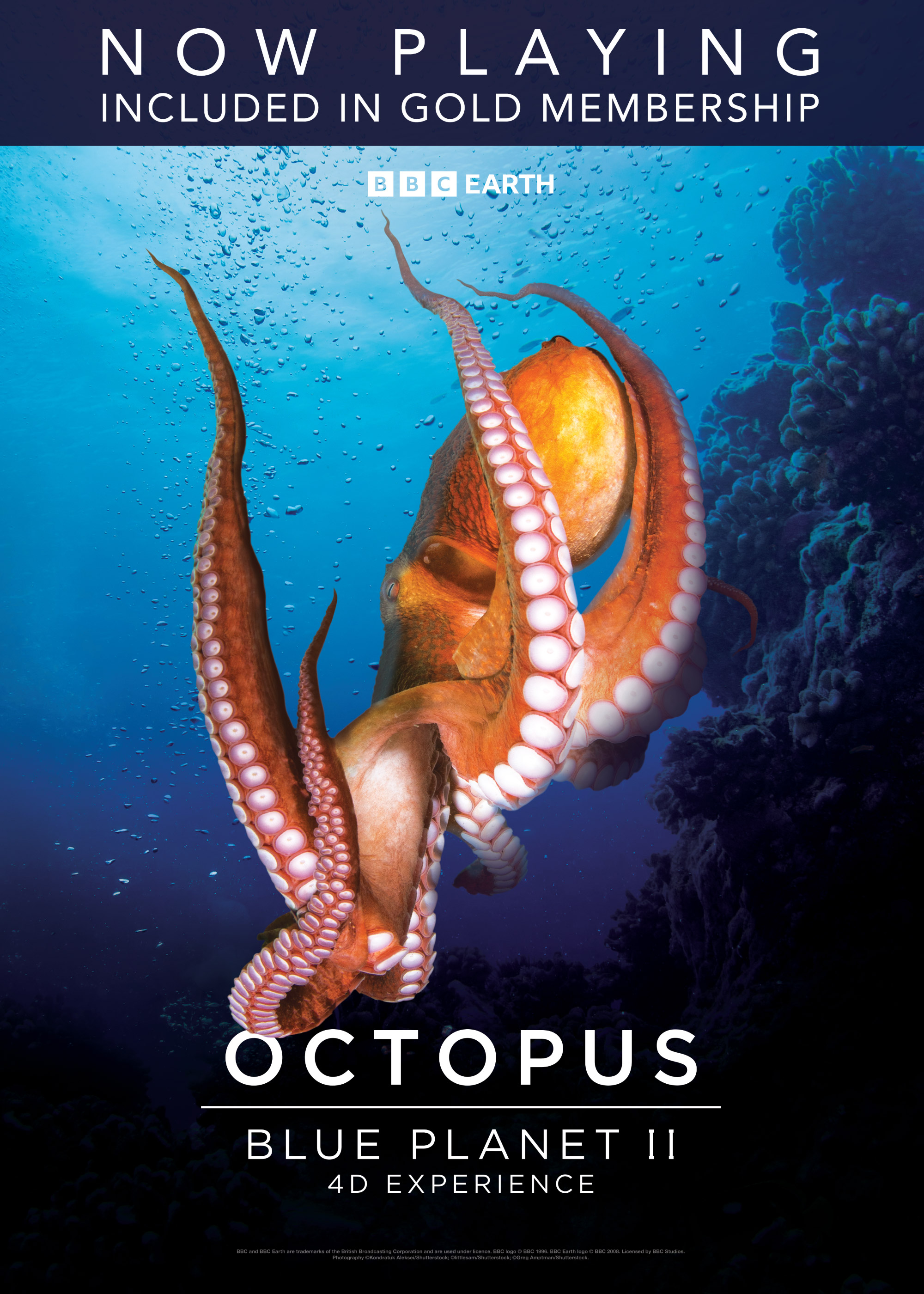 Movie poster for Octopus