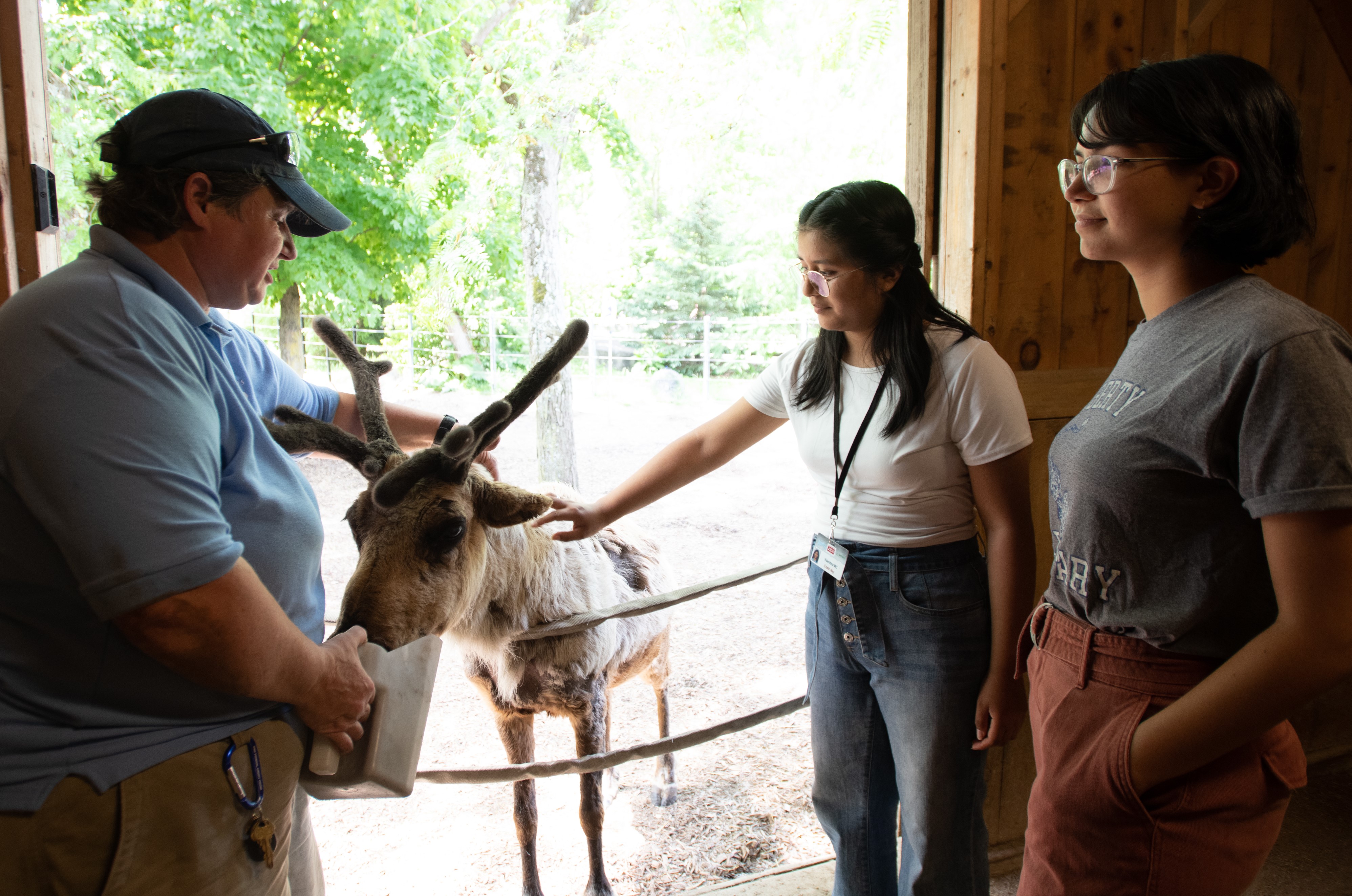 reindeer experience