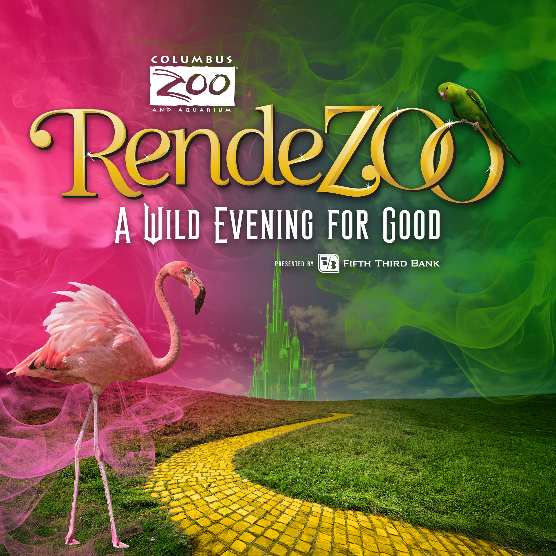 rendezoo graphic