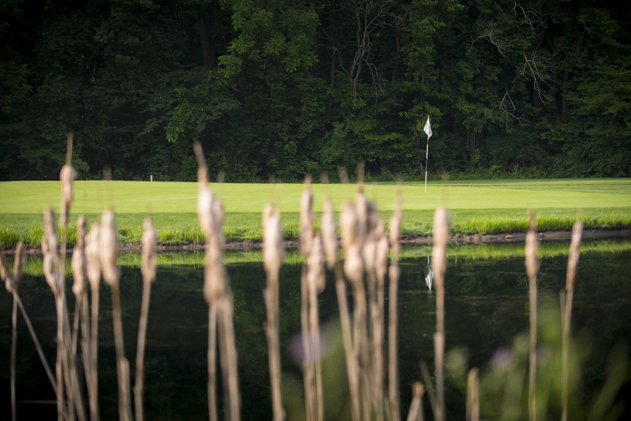 golf club with forest in background