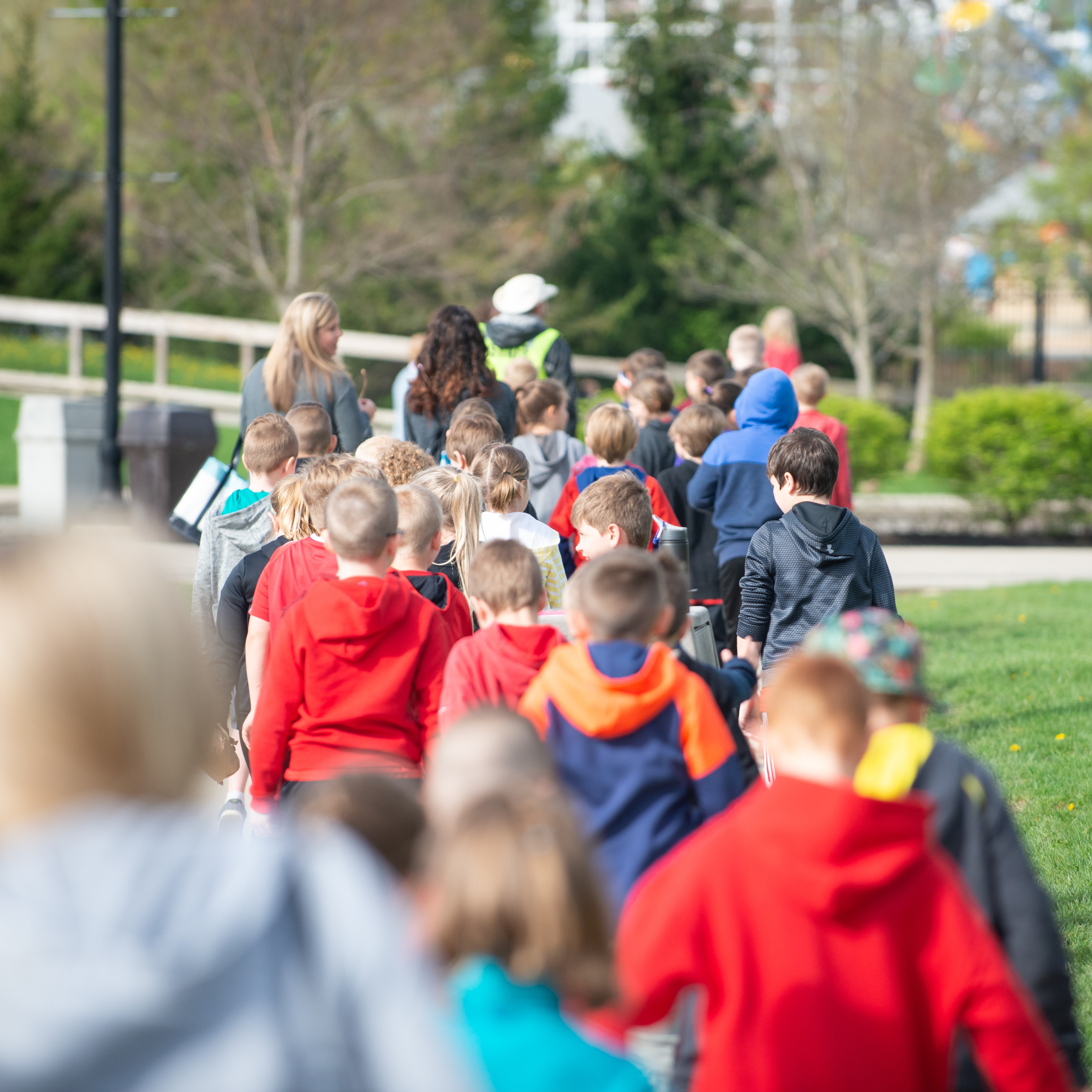 field trip at the zoo