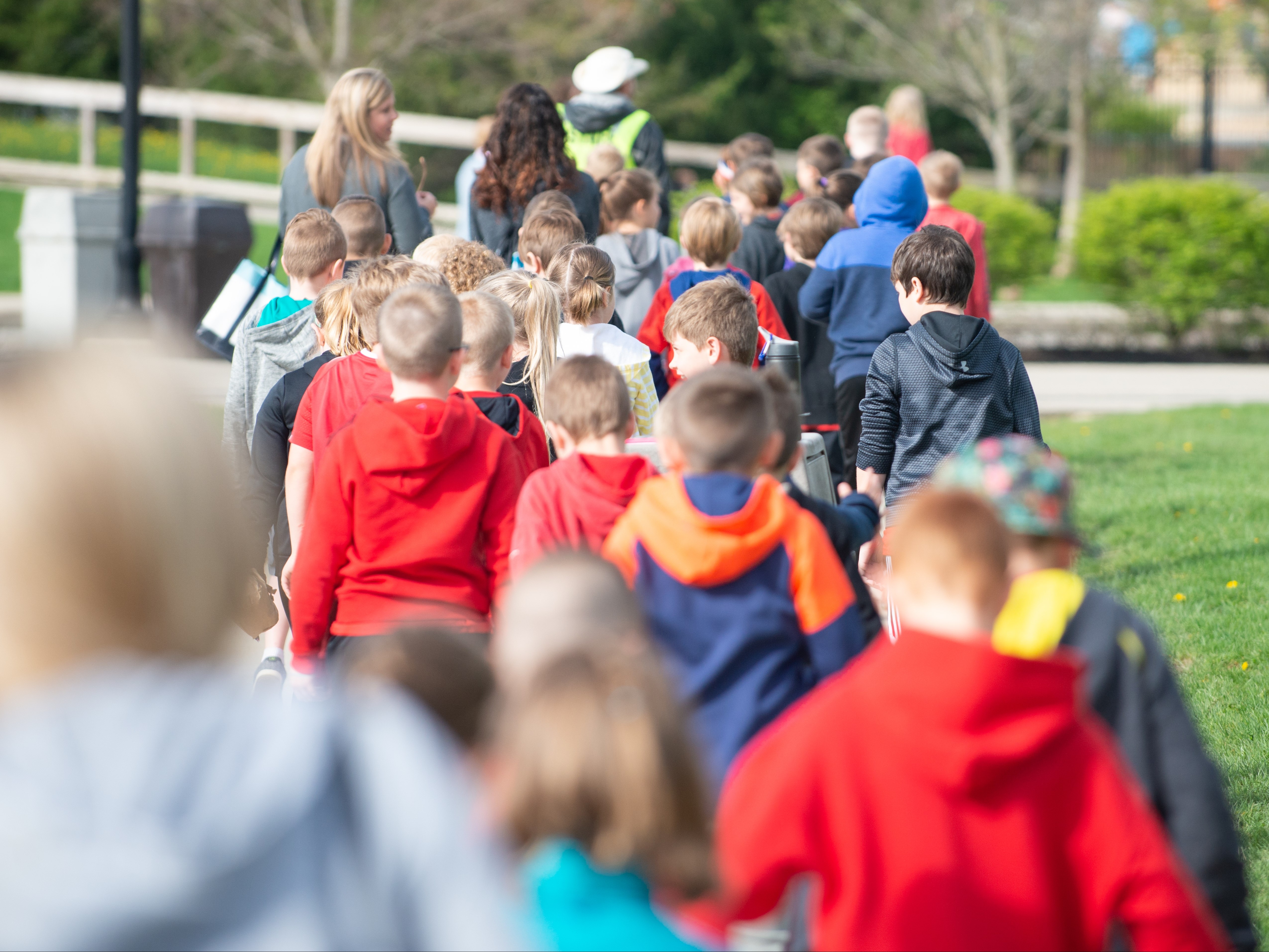 field trip at zoo