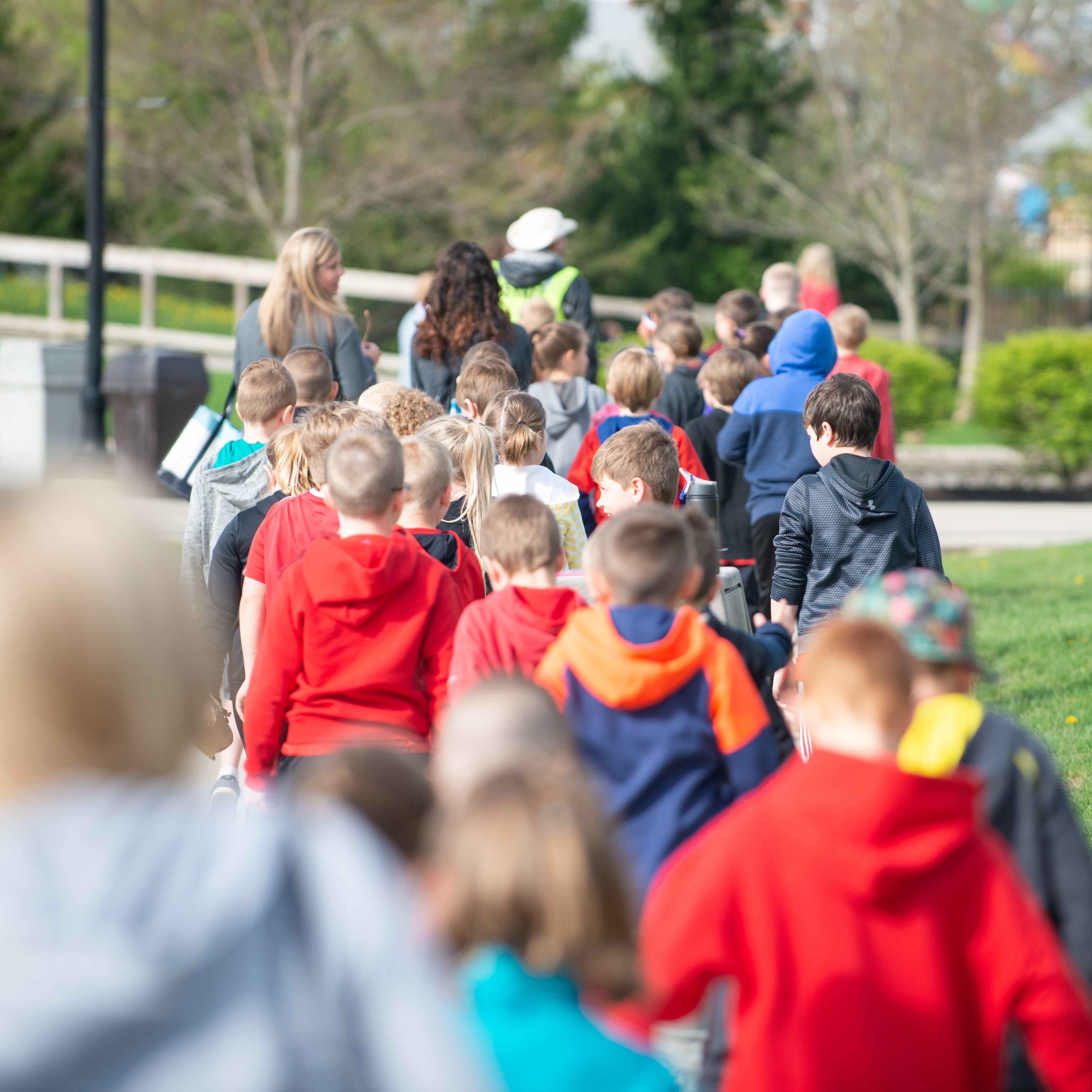 children walking at zoo