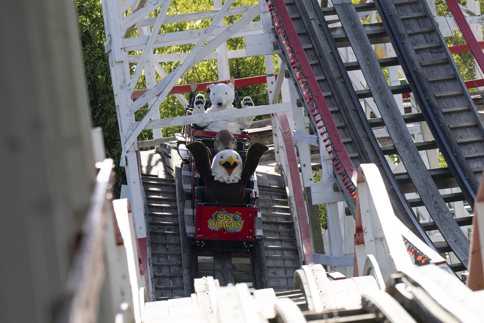 mascots on wooden rollercoaster