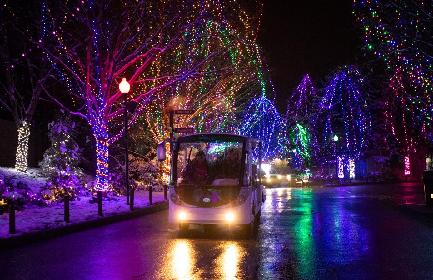 golf cart driving down zoo path surrounded by holiday lights