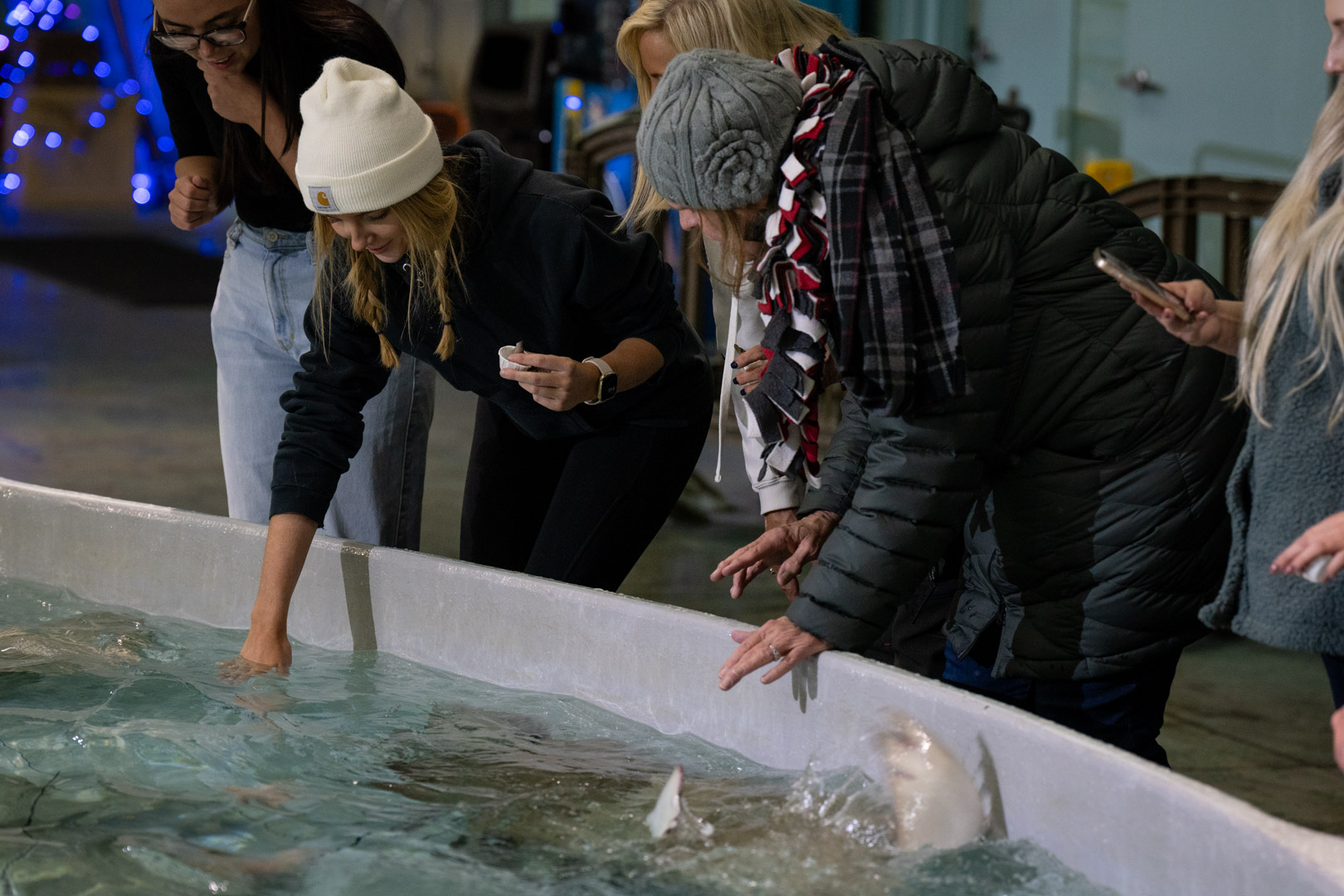 zoo guests and sting ray