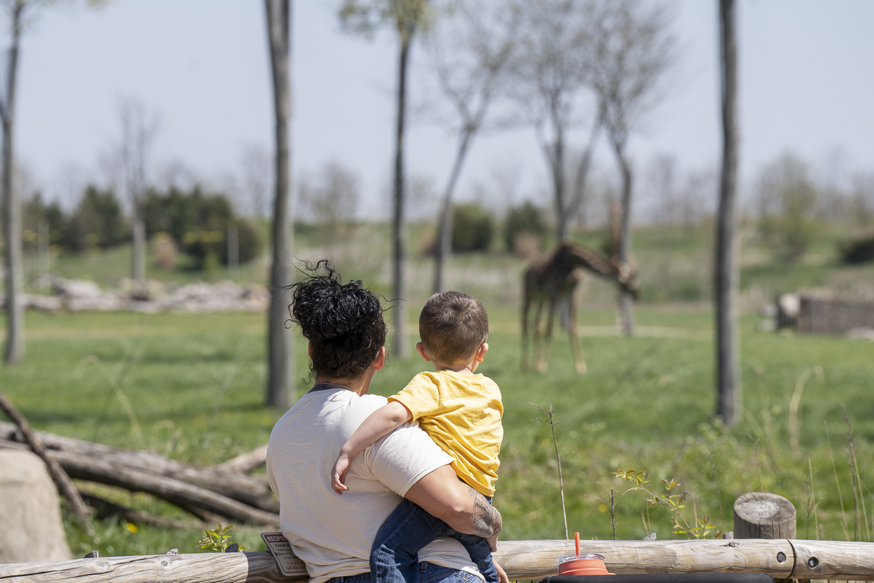 guests at zoo