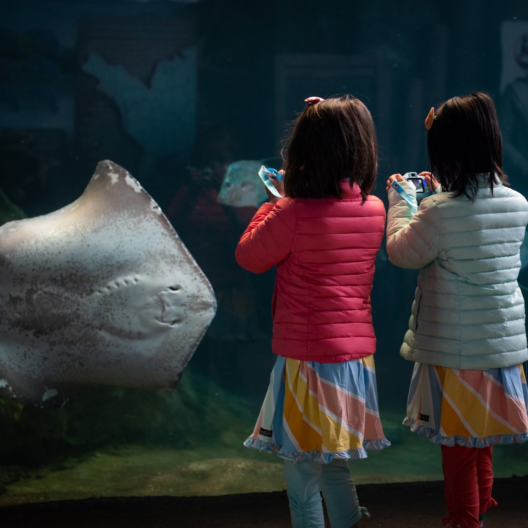 children and stingray