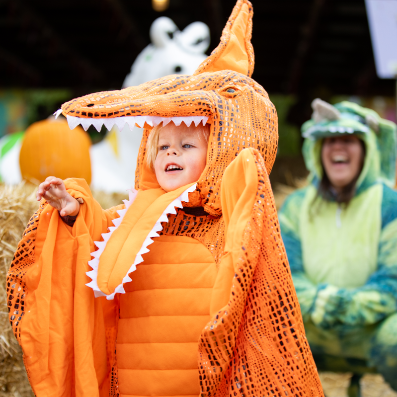 child in orange costume