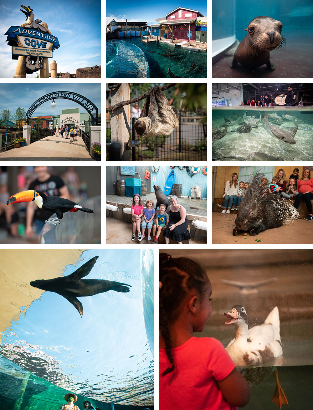 Secrets of the Zoo Season 5 Now Streaming Columbus Zoo and Aquarium