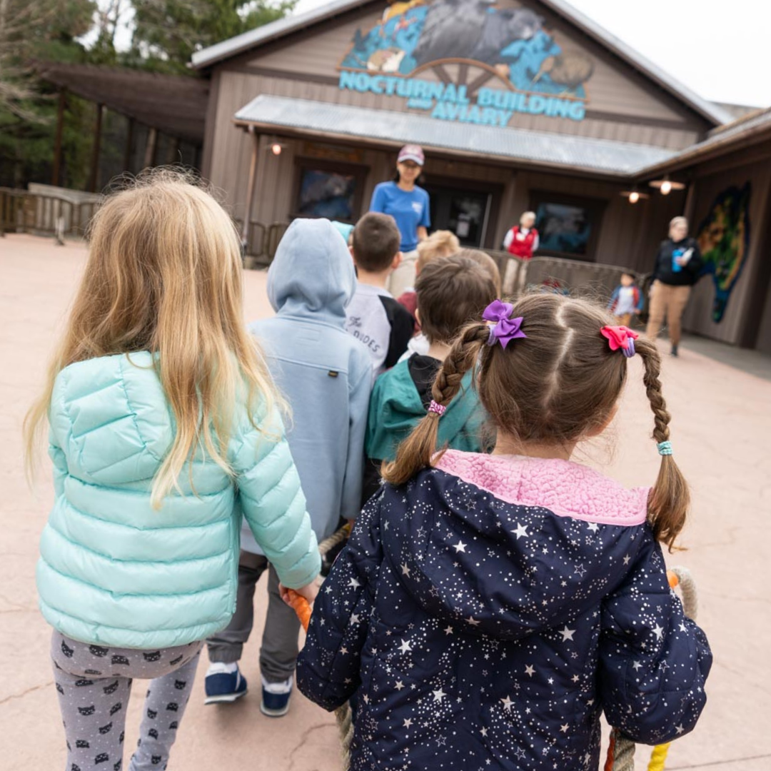 kids walking towards zoo building