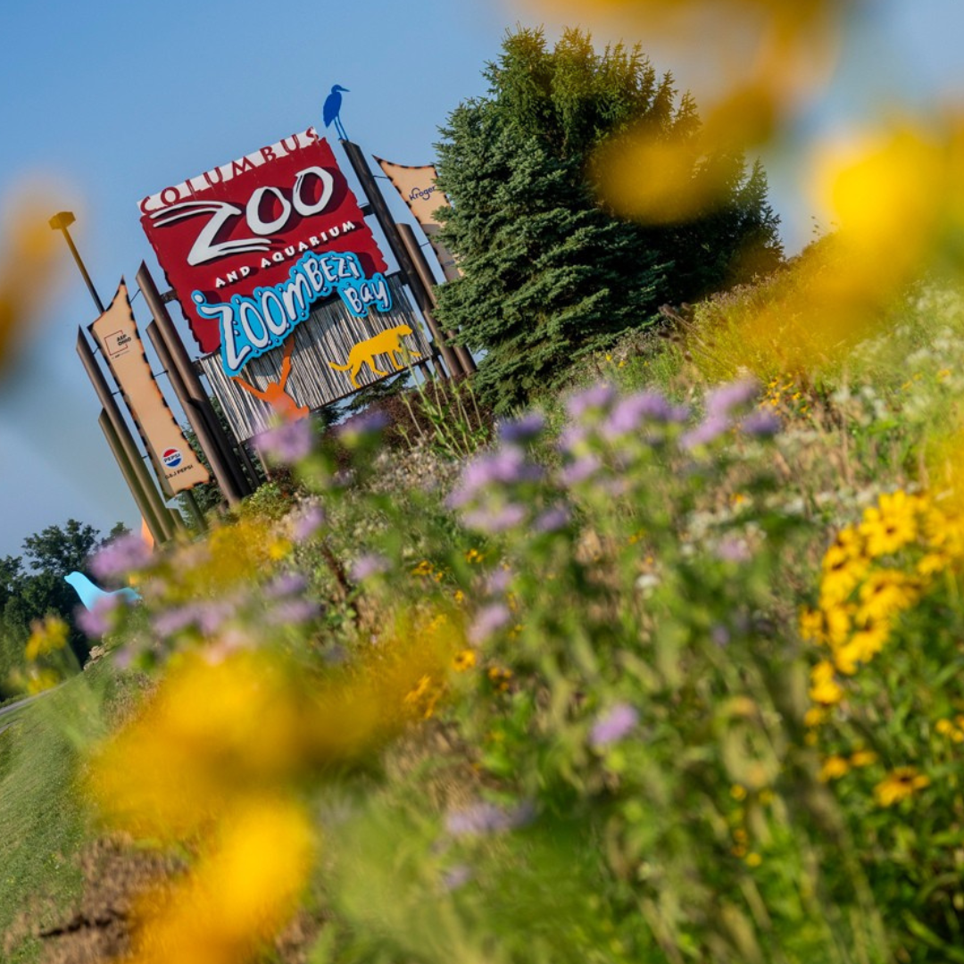 Zoo sign