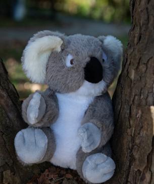 koala plush