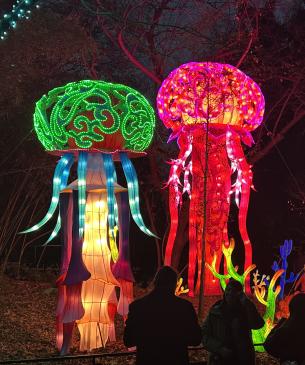 jellyfish lanterns