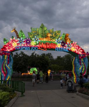 large lantern canopy